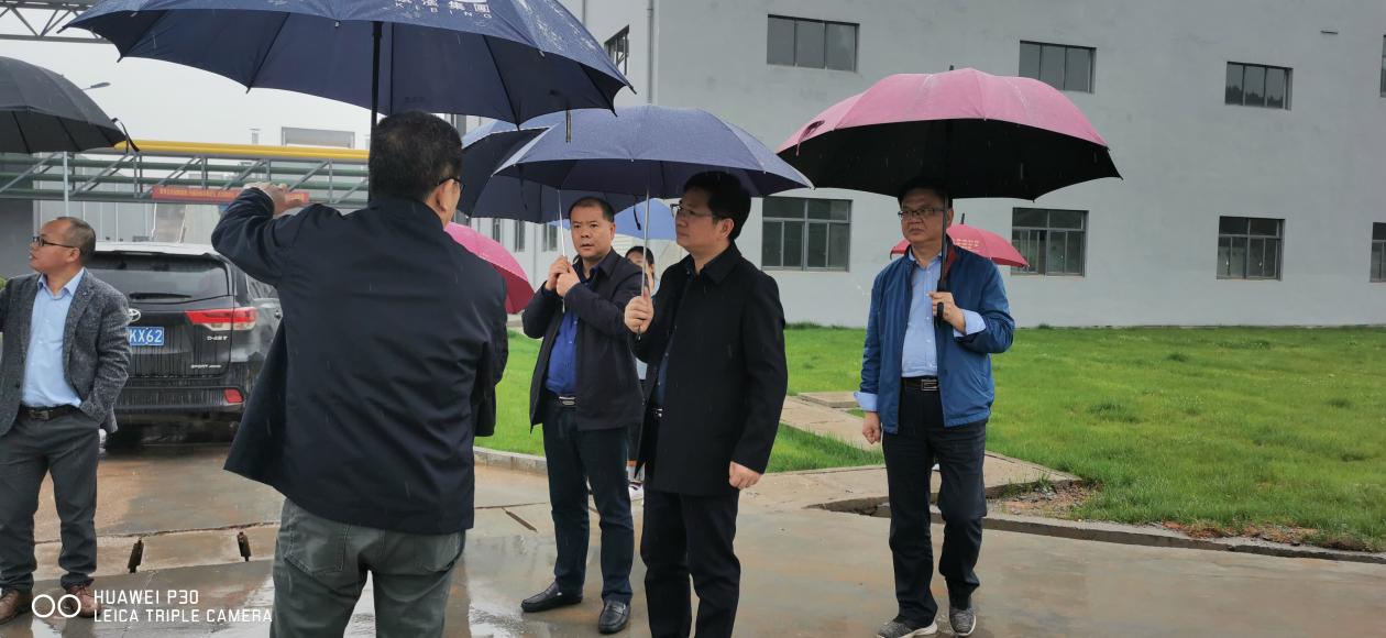 王卫安副市长现场督办突出生态环境问题整改工作
