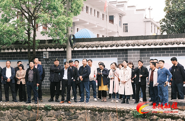 严塘镇组织开展党史学习教育活动