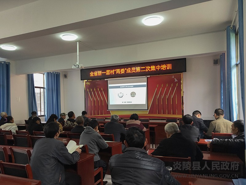 沔渡镇:集中培训促提升 为民服务更优质