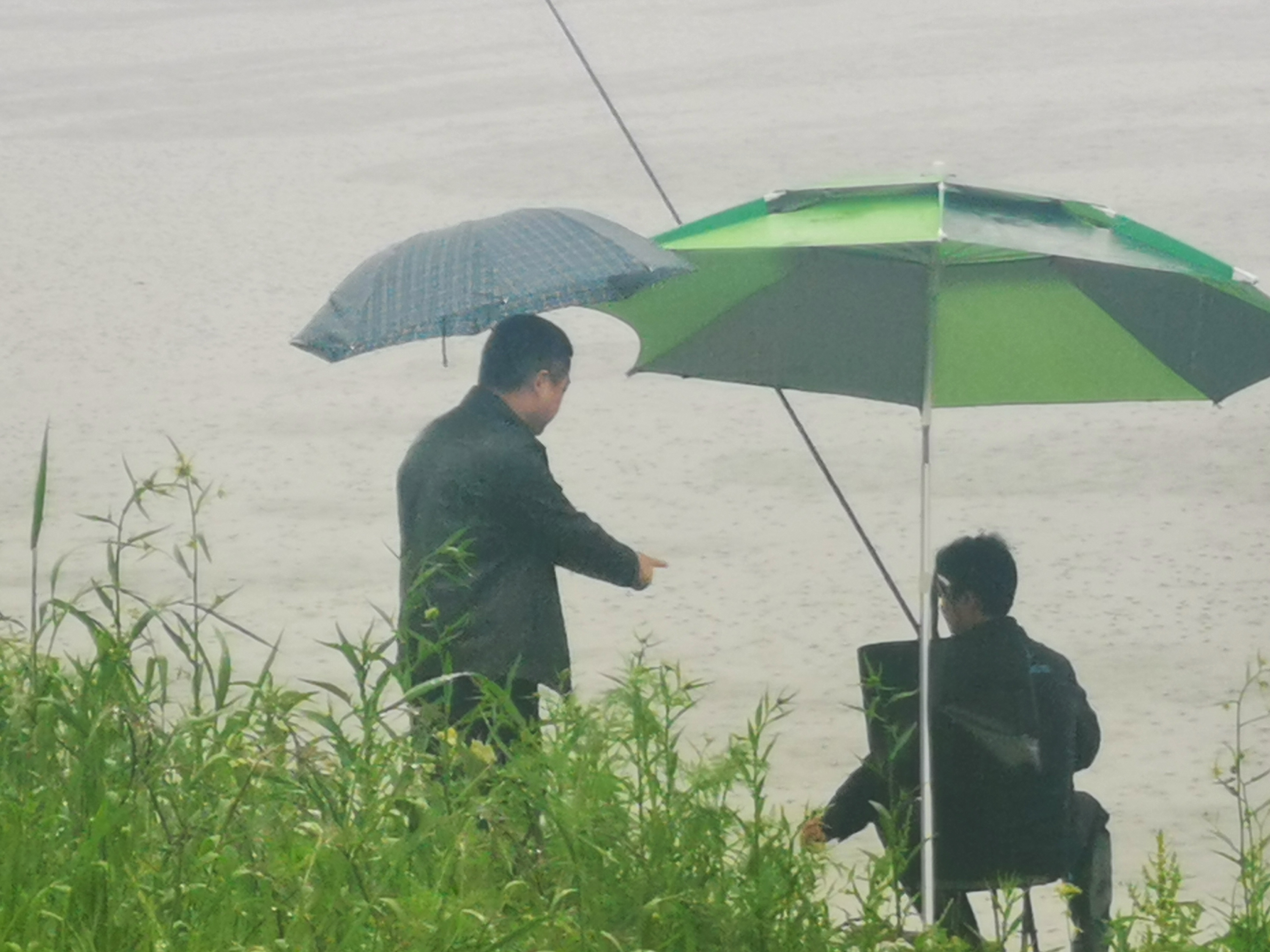 芦淞分局持续加大对辖区突出生态环境问题排查力度