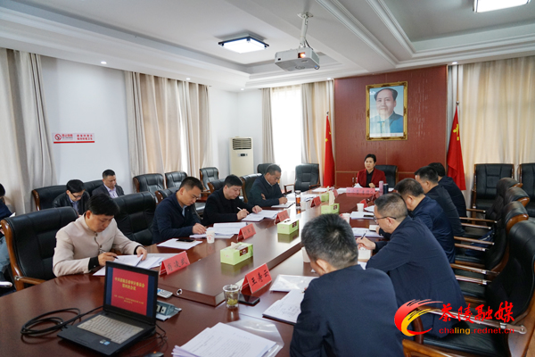 江小忠主持召开茶陵县委审计委员会第四次会议