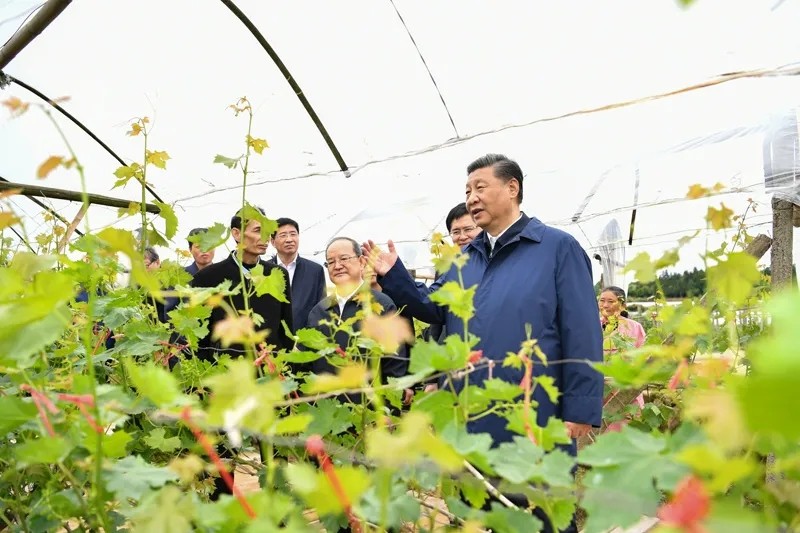 习近平在广西考察时强调 解放思想深化改革凝心聚力担当实干 建设新时代中国特色社会主义壮美广西