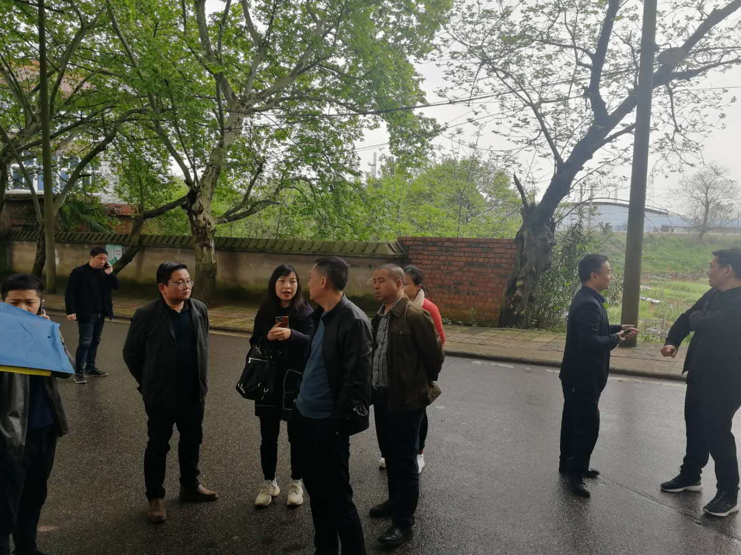 石峰区副区长彭梁对城管领域突出生态环境问题整改"回头看"