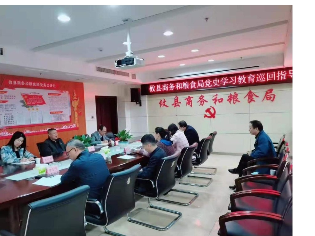 【学党史 开新局】攸县商务和粮食局开展党史学习教育
