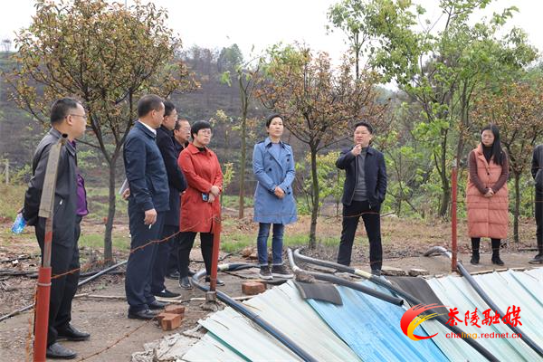 江小忠现场督导突出生态环境问题整改工作