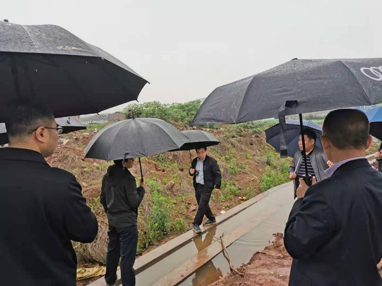 石峰区现场检查清水塘地块治理情况