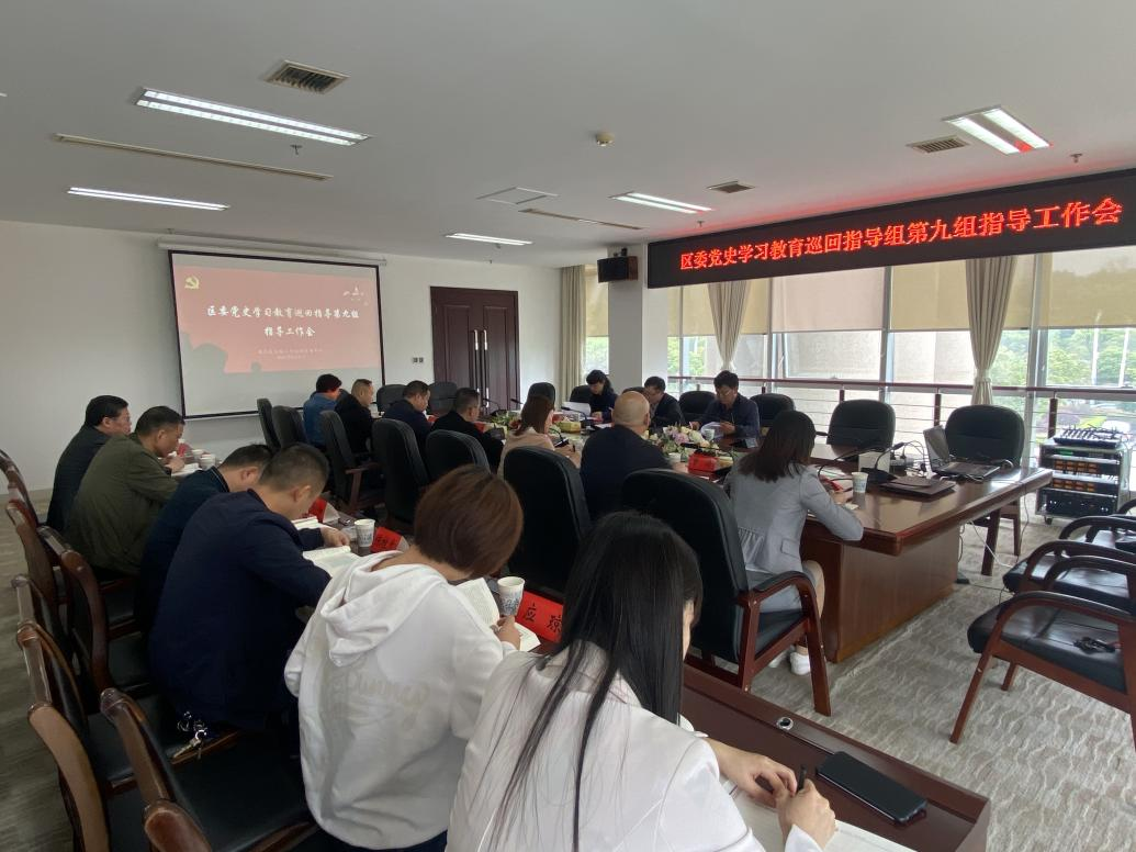 区委党史学习教育第九巡回指导组第一轮巡回指导：抓好“两个督促”，做到“五个查看”