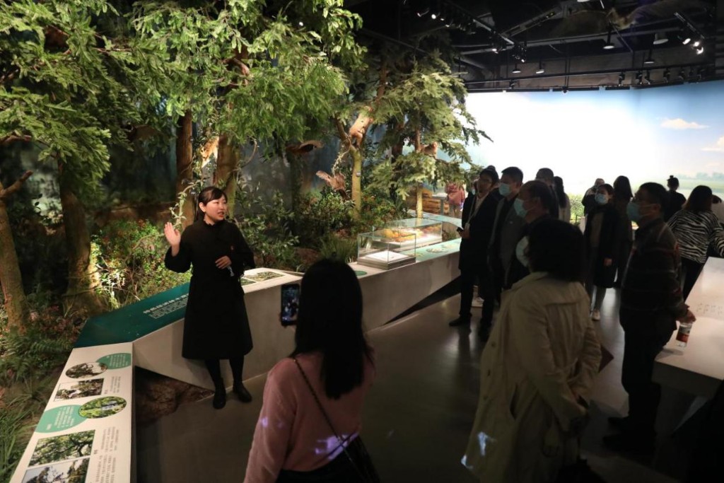 株洲市自然资源和规划局世界地球日系列活动——“走进株洲市博物馆”