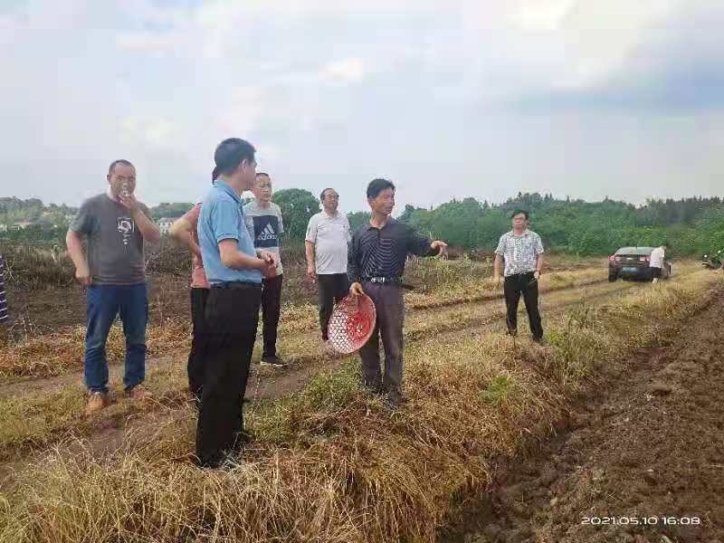 胡云祥主任赴醴陵督查耕地抛荒治理工作
