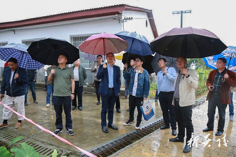 文专文调研督导防汛备汛工作