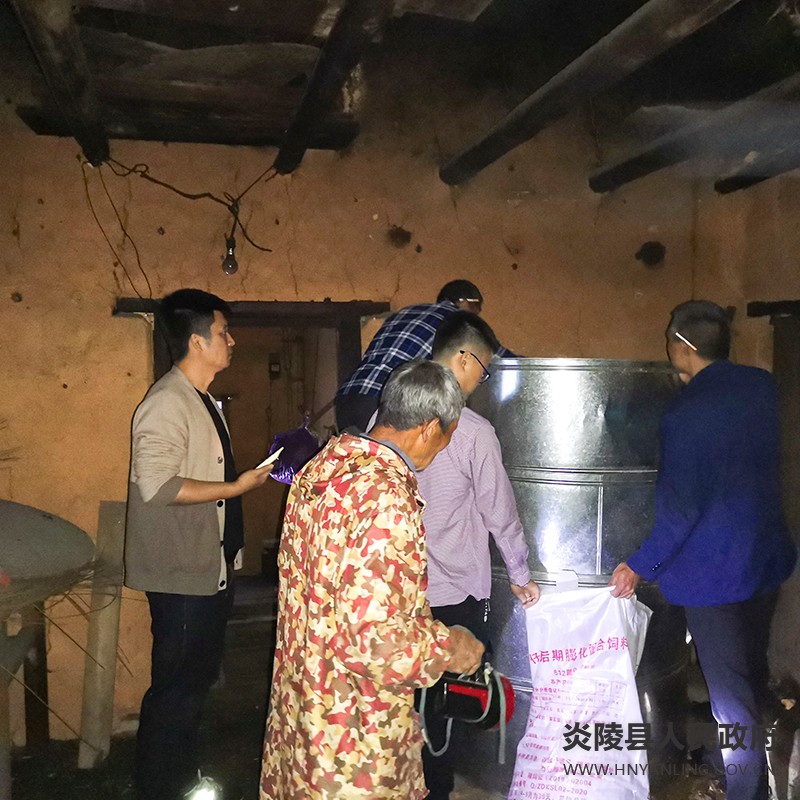 船形乡：处置突发险情，保障群众安全