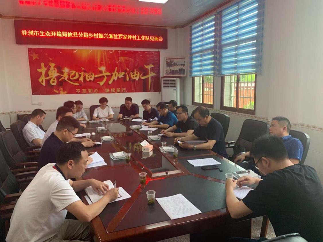 乡村振兴我们在行动——株洲市生态环境局攸县分局乡村振兴工作队在罗家坪村召开见面会