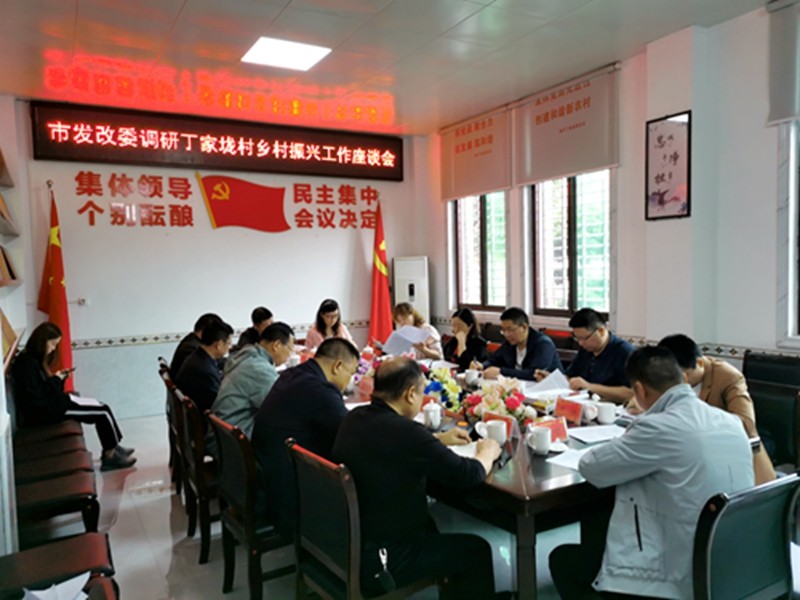 市发改委调研指导攸县丁家垅村 乡村振兴工作