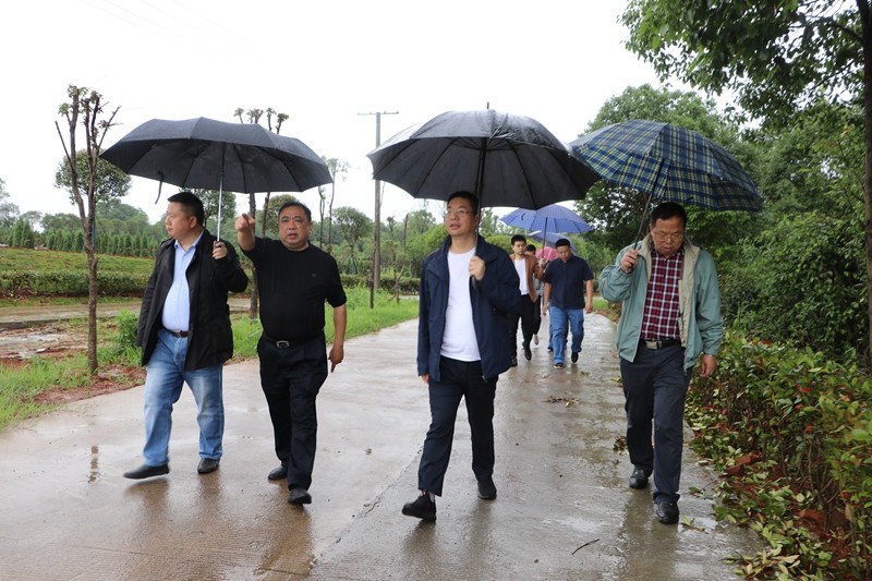 市发改委调研指导攸县丁家垅村 乡村振兴工作