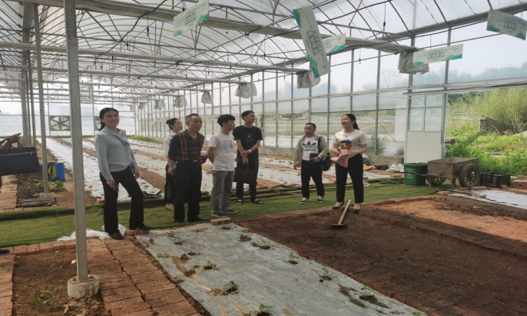 调研示范基地建设 实现智慧农业目标 ——芦淞区设施农业示范基地（设施栽培）建设调研