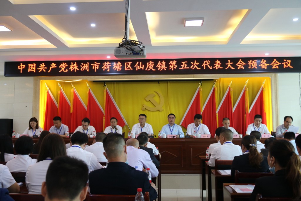仙庾镇圆满完成镇党委换届工作