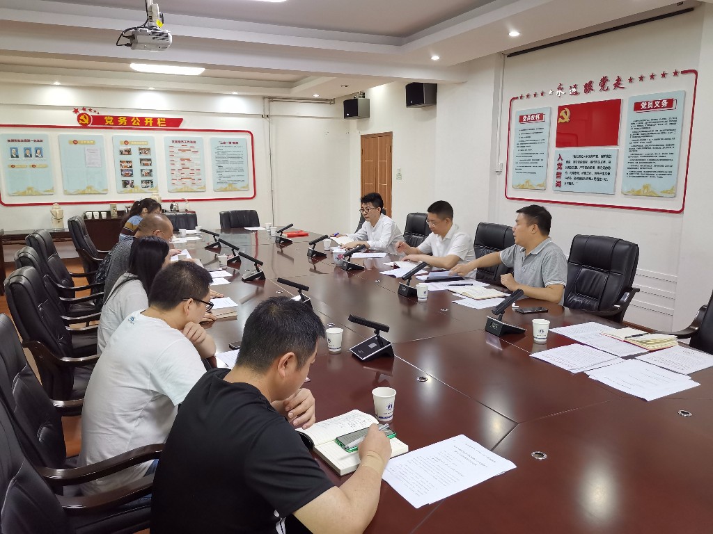 市发改委机关第五党支部开展党史学习教育第三阶段“学史崇德”专题学习研讨