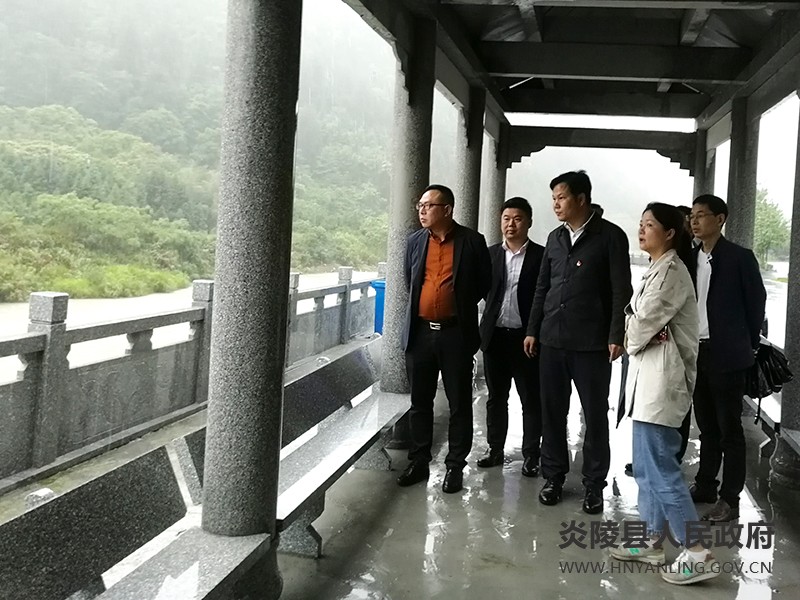 县领导调研中国黄桃小镇项目建设工作