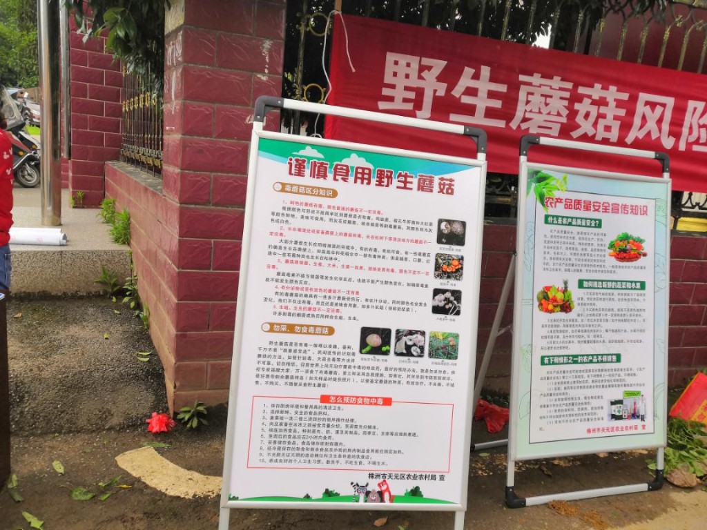 预防野生蘑菇中毒  确保人民群众生命安全