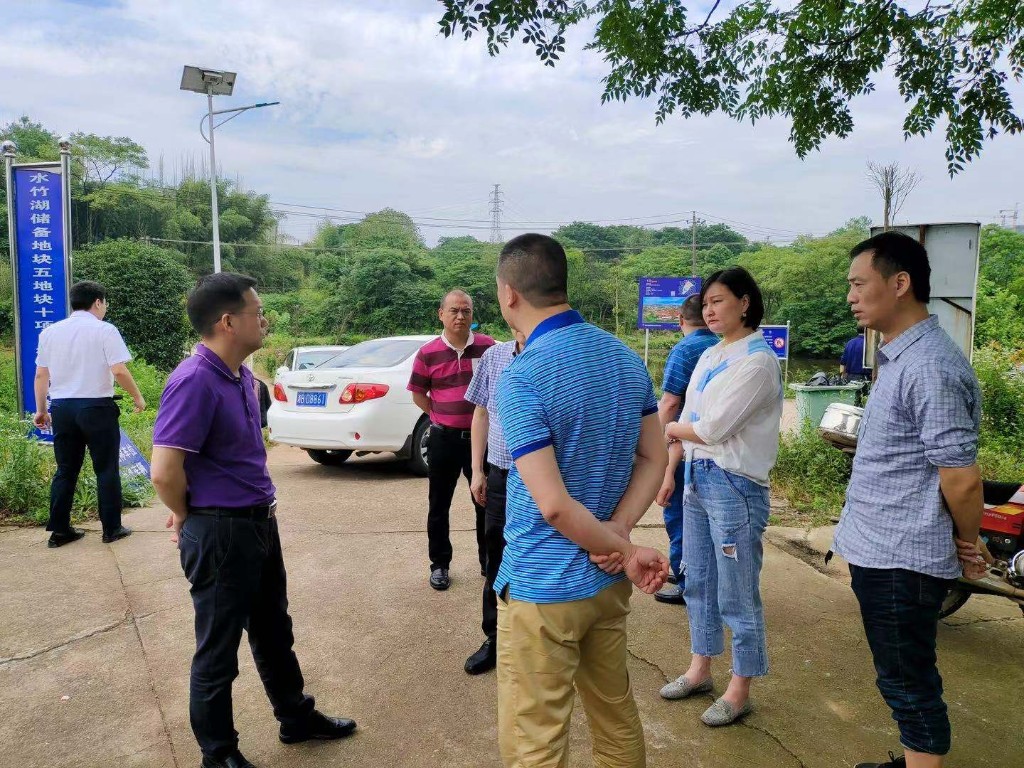 区领导督查桂花街道征地拆迁工作