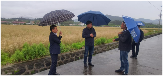 炎陵县委副书记刘继承调研炎陵供销合作助推乡村振兴工作