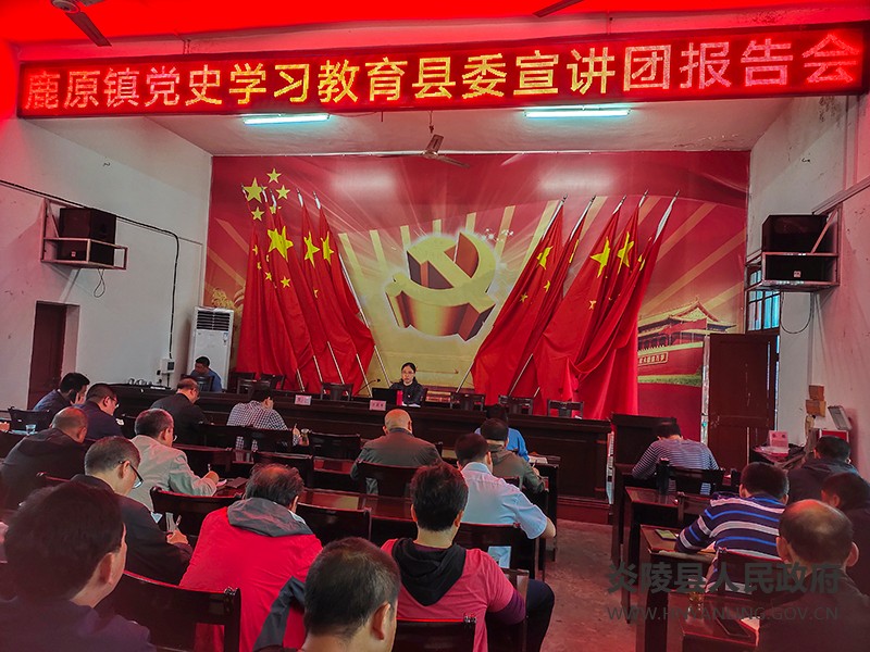 鹿原镇召开党史学习教育县委宣讲团报告会