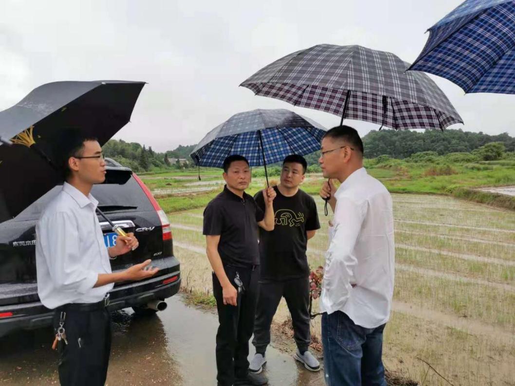 芦淞区耕地抛荒治理工作顺利通过省厅核查