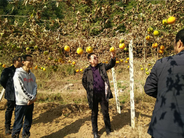 株洲市交通运输局驻村帮扶办实事脱贫攻坚见成效