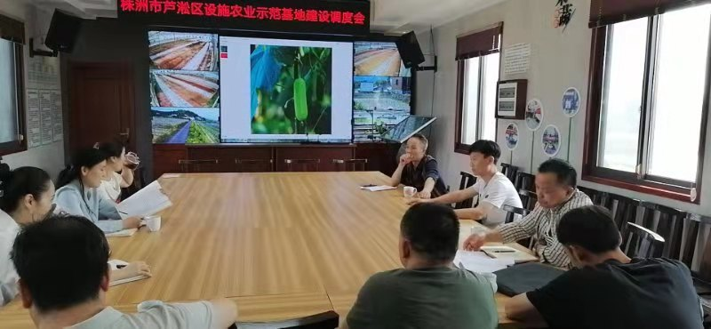 调研示范基地建设 实现智慧农业目标 ——芦淞区设施农业示范基地（设施栽培）建设调研