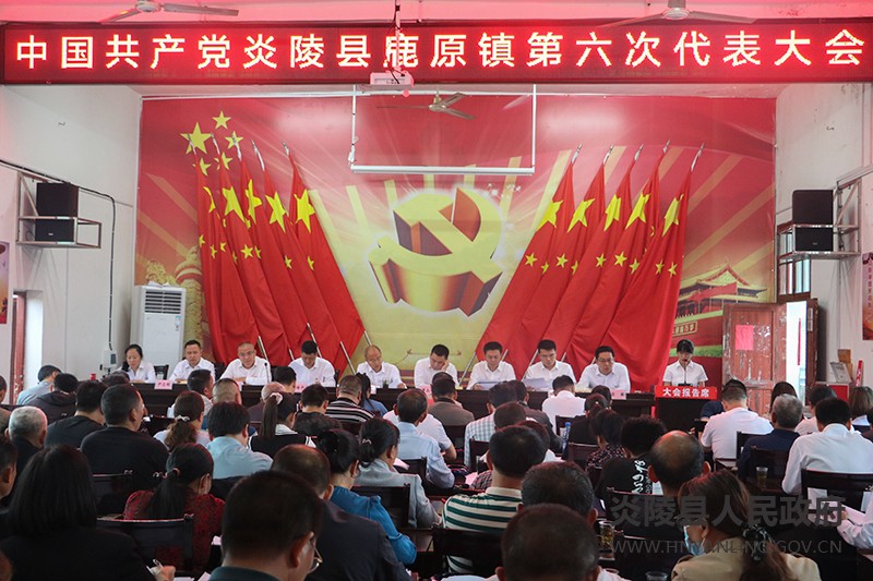 鹿原镇第六次代表大会顺利召开