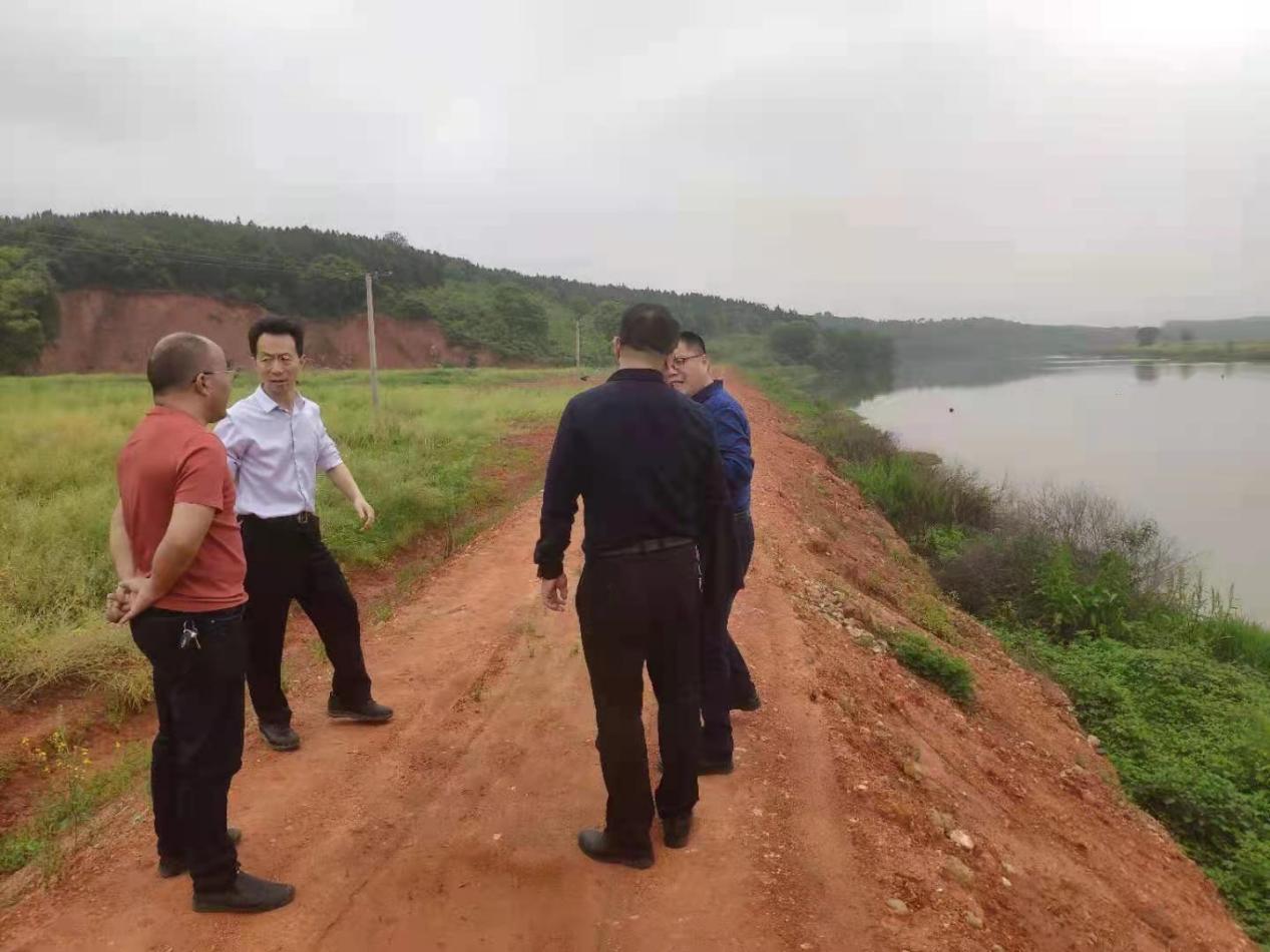 杨正武副县长督察河道环境保护工作