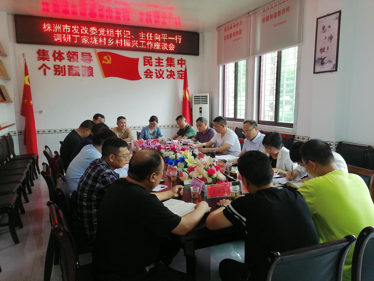 市发改委主任向平到丁家垅村  调研指导乡村振兴工作