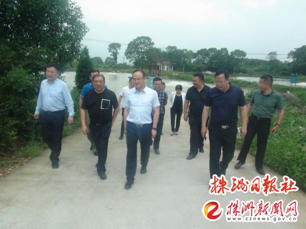 市发改委一行到攸县丁家垅村调研指导乡村振兴工作