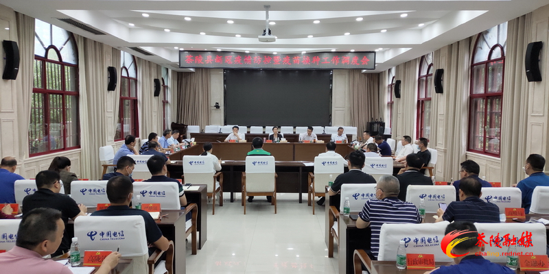 茶陵县新冠疫情防控暨疫苗接种工作调度会召开
