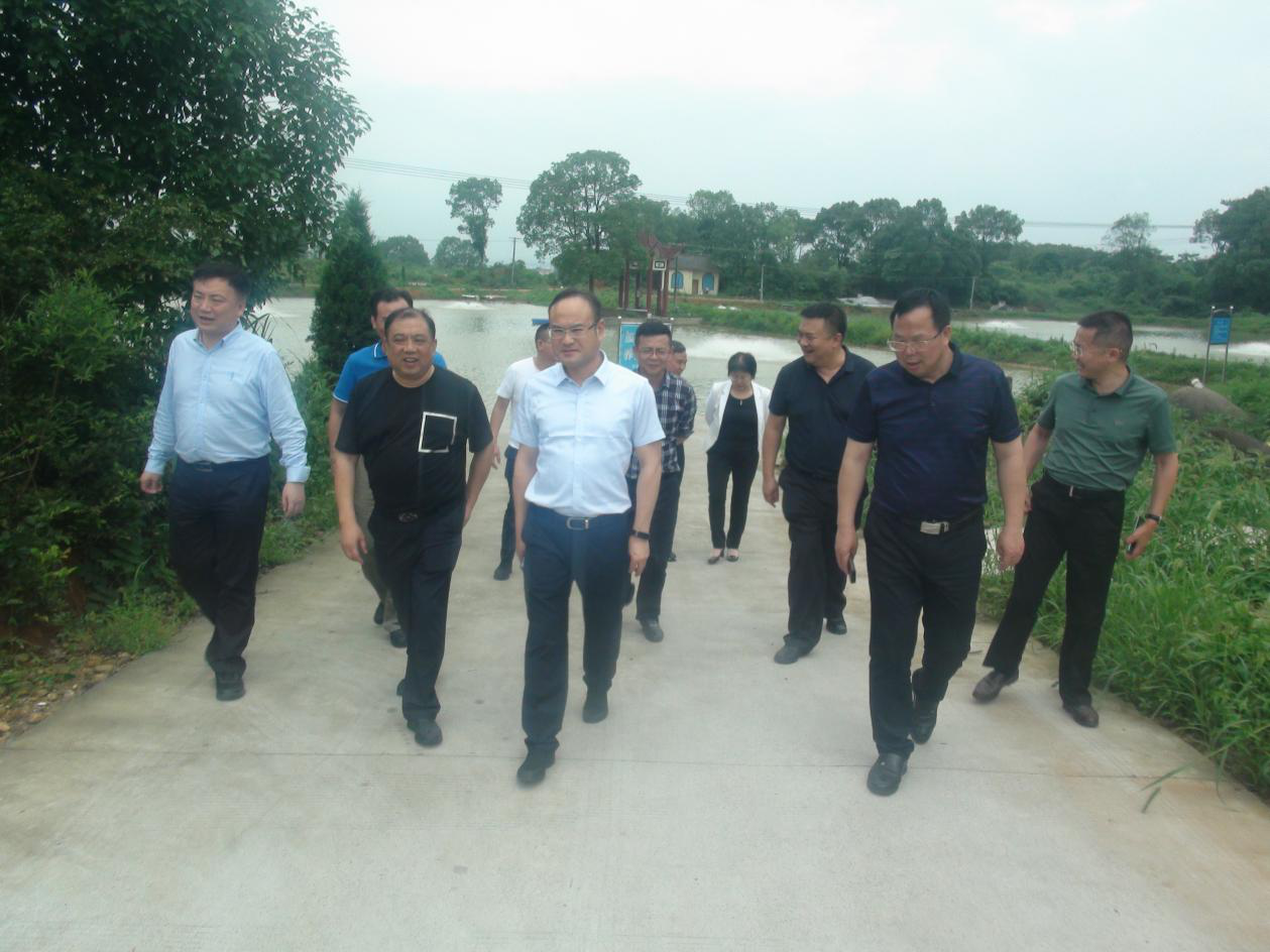 市发改委主任向平到丁家垅村  调研指导乡村振兴工作