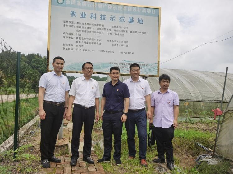 攸县：博士工作站进驻农场 科技助推乡村振兴