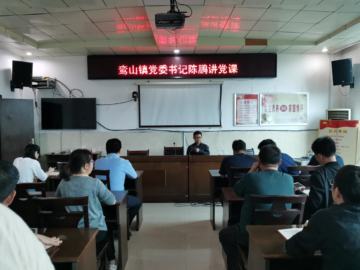 【学党史 开新局】鸾山镇开展党史学习教育第三次专题学习