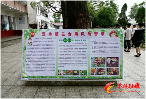 湖口中学：打好野生毒蘑菇“宣传战”和“防控战”