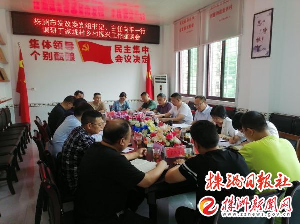 市发改委一行到攸县丁家垅村调研指导乡村振兴工作