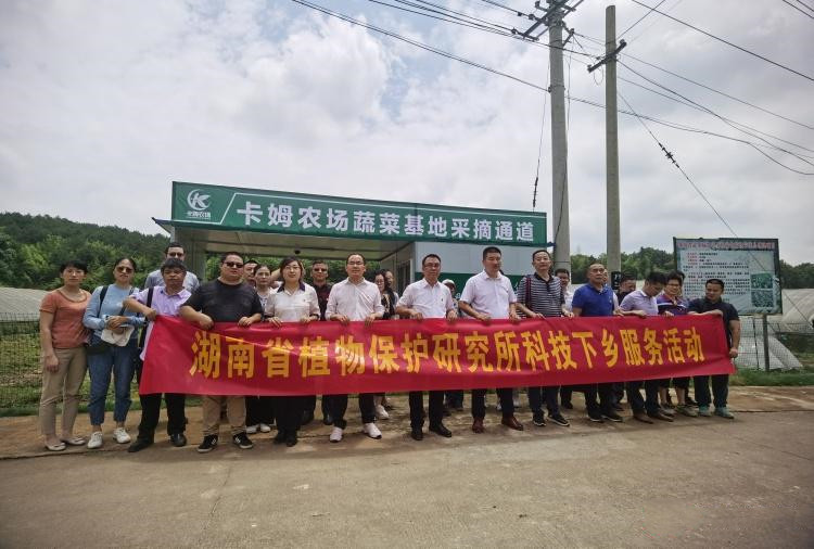 攸县：博士工作站进驻农场 科技助推乡村振兴