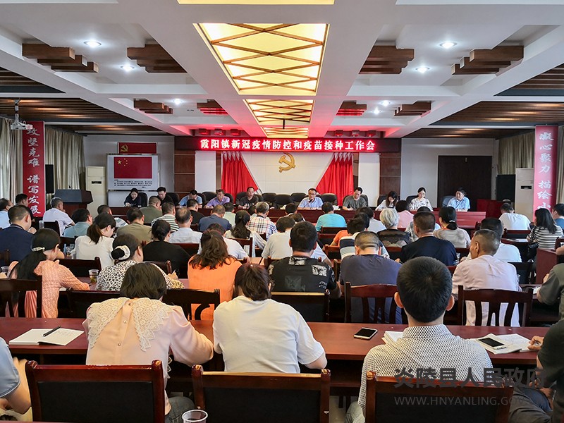 霞阳镇：全力以赴筑牢疫情防线