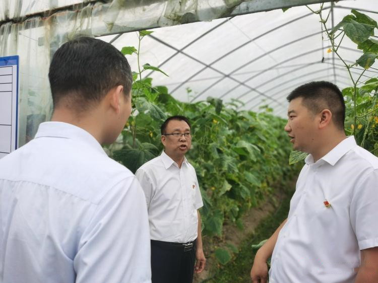 攸县：博士工作站进驻农场 科技助推乡村振兴