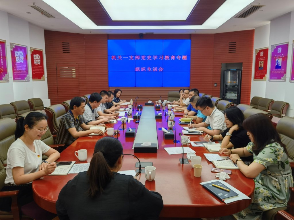 局机关一支部召开党史学习教育专题组织生活会
