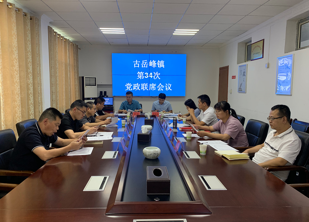 古岳峰镇组织党委理论学习中心组学习习近平法治思想