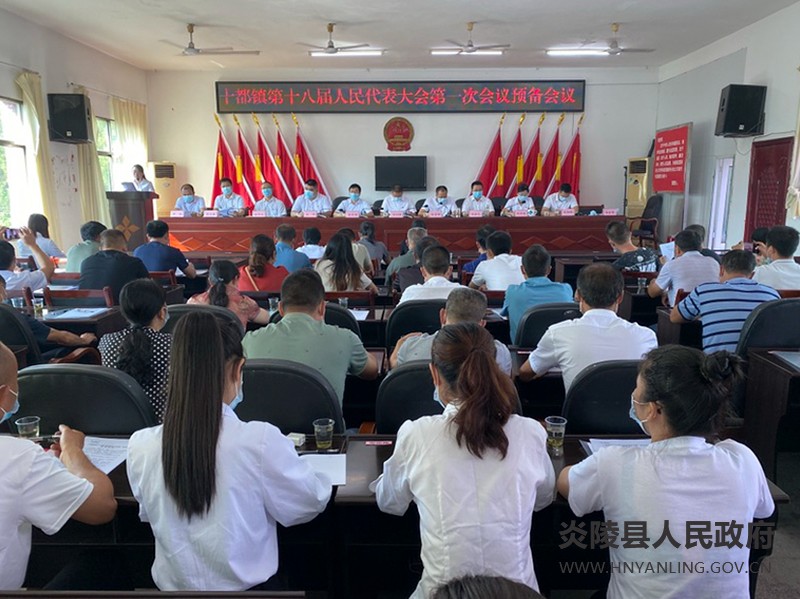 十都镇第十八届人民代表大会第一次会议胜利闭幕
