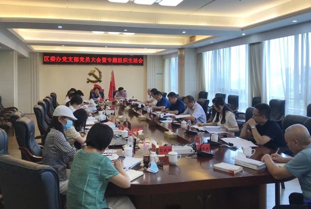 区委书记唐卫湘以普通党员身份参加专题组织生活会