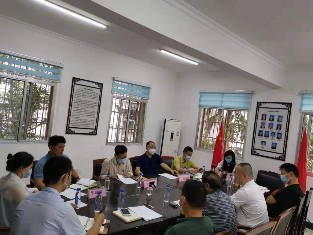 市政协提案委员会赴贺家土街道曹塘坝社区开展习近平总书记“七一”讲话重要精神宣讲活动