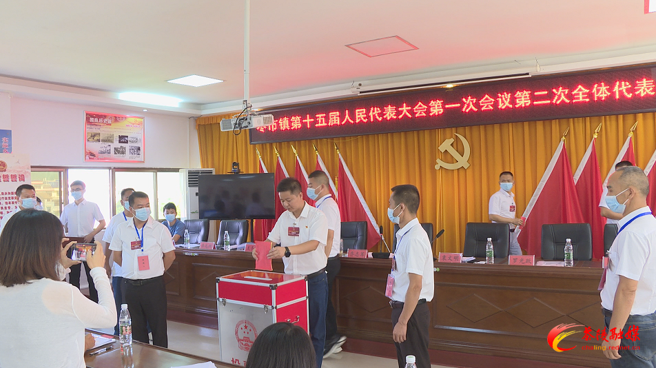 枣市镇第十五届人民代表大会第一次会议召开