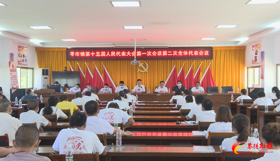 枣市镇第十五届人民代表大会第一次会议召开
