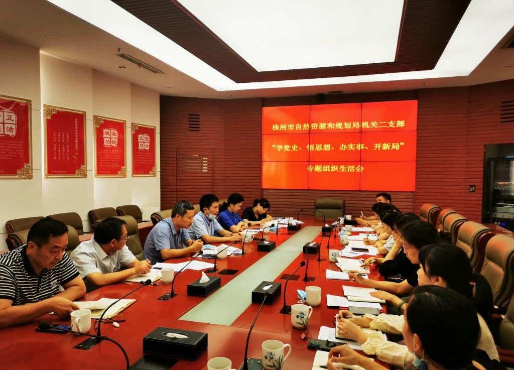 中共株洲市自然资源和规划局机关二支部召开党史学习教育专题组织生活会